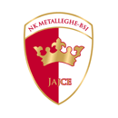 Metalleghe-BSI